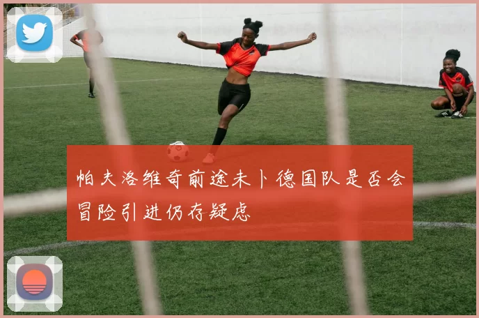 帕夫洛维奇前途未卜德国队是否会冒险引进仍存疑虑