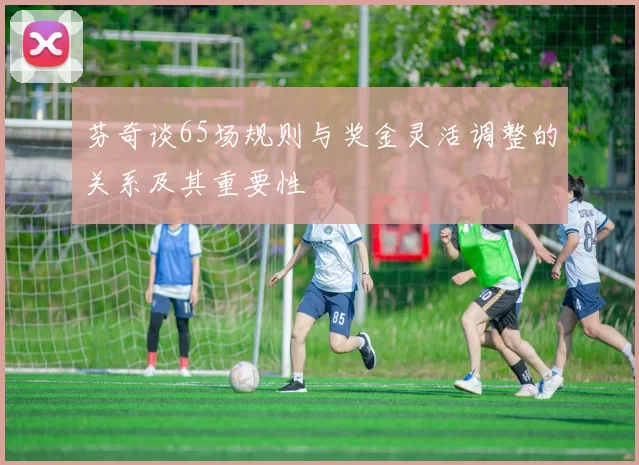芬奇谈65场规则与奖金灵活调整的关系及其重要性